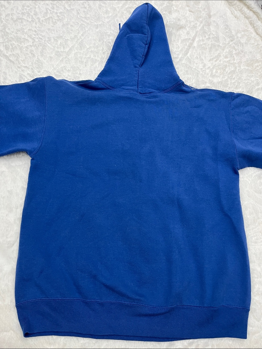 VINTAGE BUFFALO BILLS Hoodie 1991 AFC Champs - Picture 6 of 9